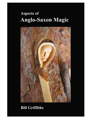 Book cover for Aspects of Anglo-Saxon Magic